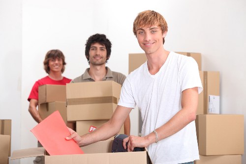 Comparing different removal service quotes